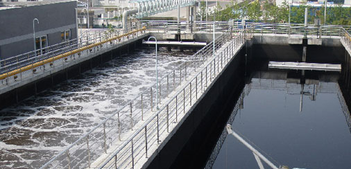 黑丑水體污泥如何分解氧化？